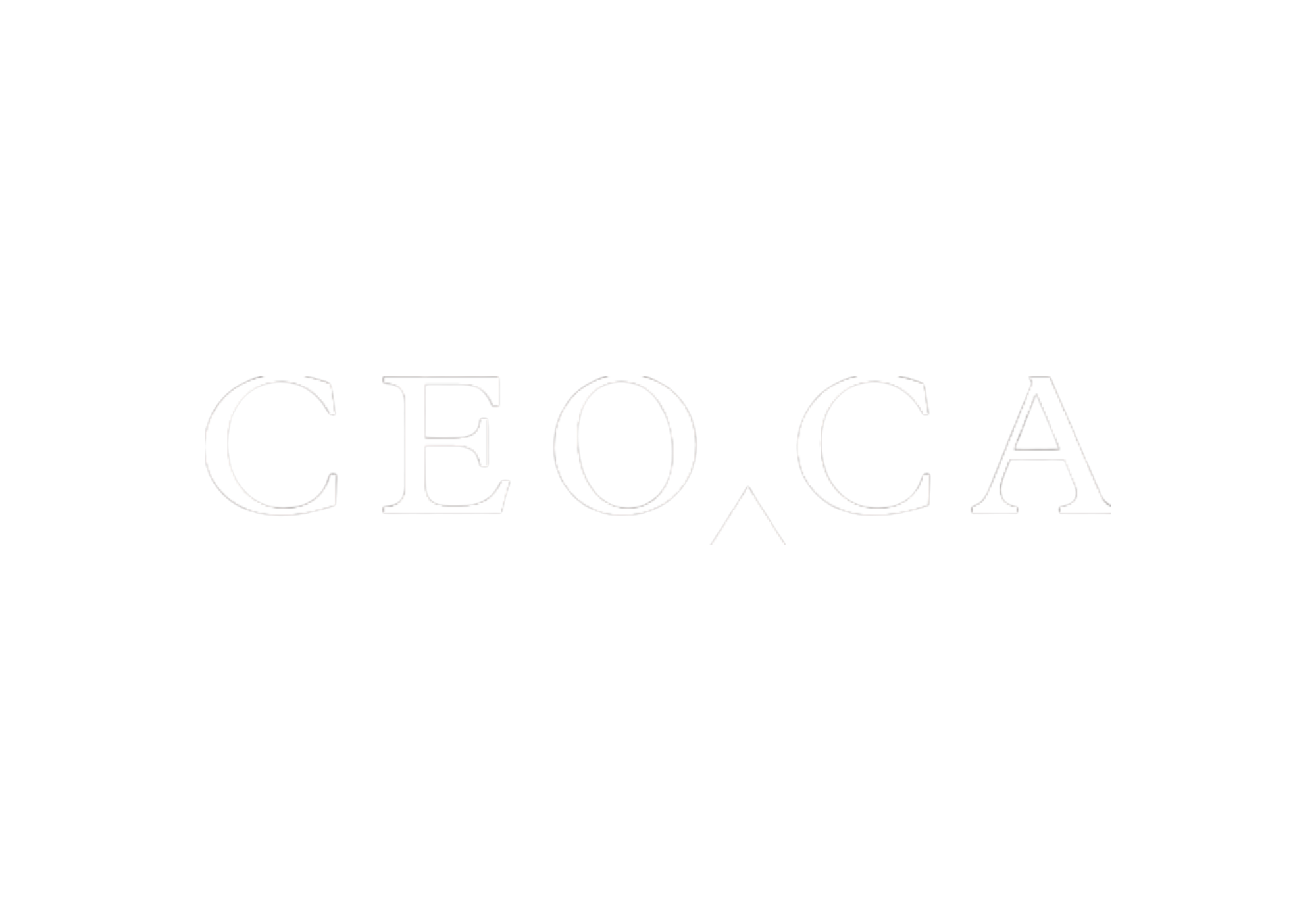 CEO.CA logo